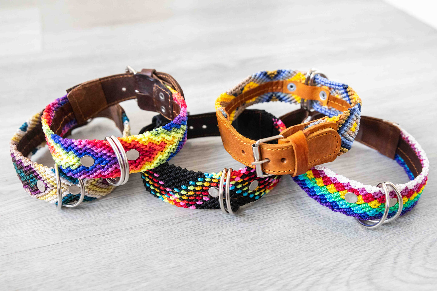 Vibrant Woven and Leather Small Dog Collars