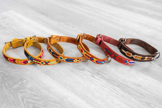 Artisan Leather &amp; Woven Dog Collars – Small/Medium